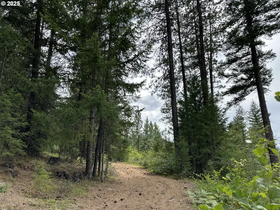 Forest Glen, Goldendale, WA 98620 - #2