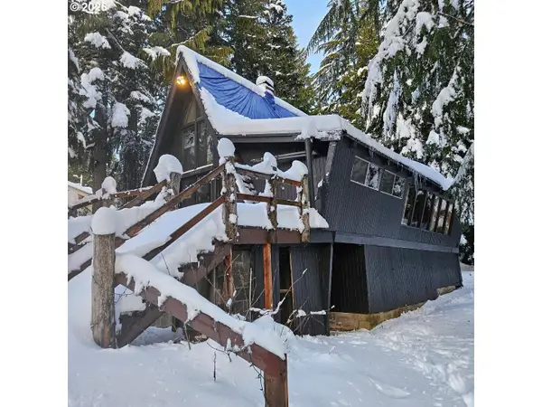 31060 E Bergstrasse Rd, GovernmentCamp, OR 97028