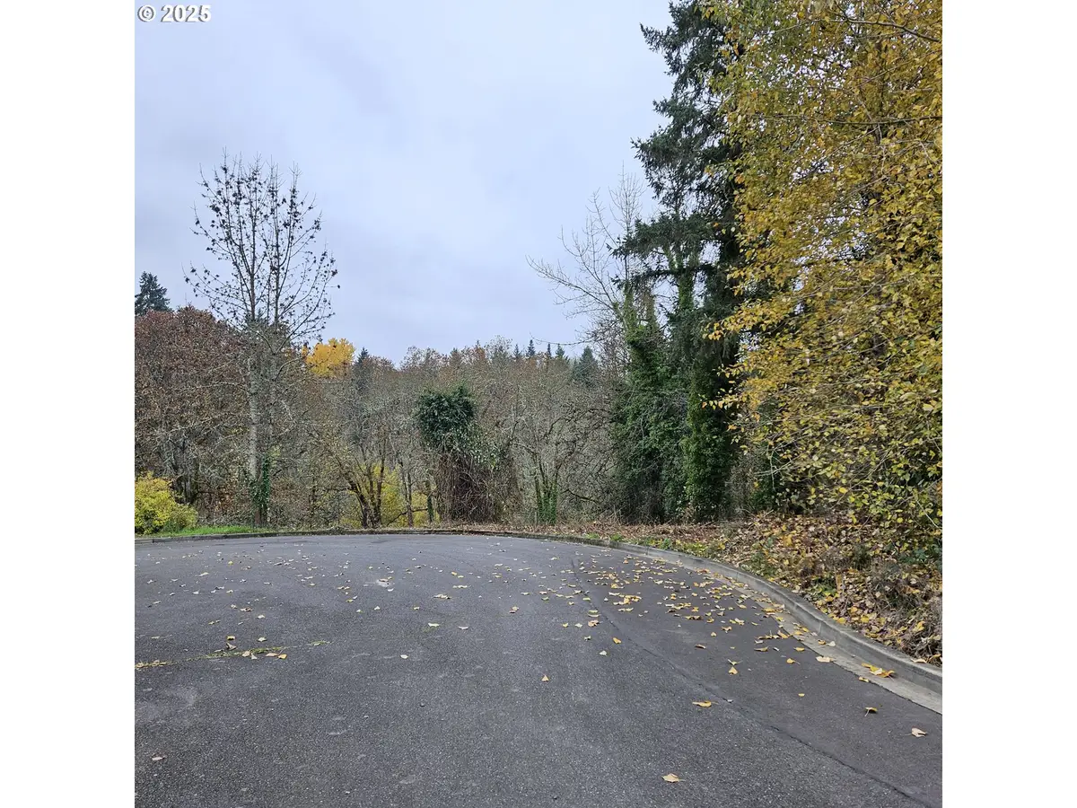 706 Elizabeth Ct, Dayton, OR 97114 - Image #1