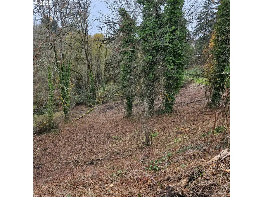 706 Elizabeth Ct, Dayton, OR 97114 - Image #3