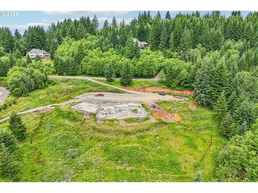 30317 NE Livingston Mountain Cir, Camas, WA 98607 - #3
