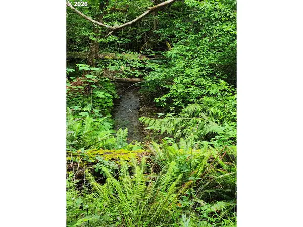 0 Louis Creek Rd, MyrtleCreek, OR 97457