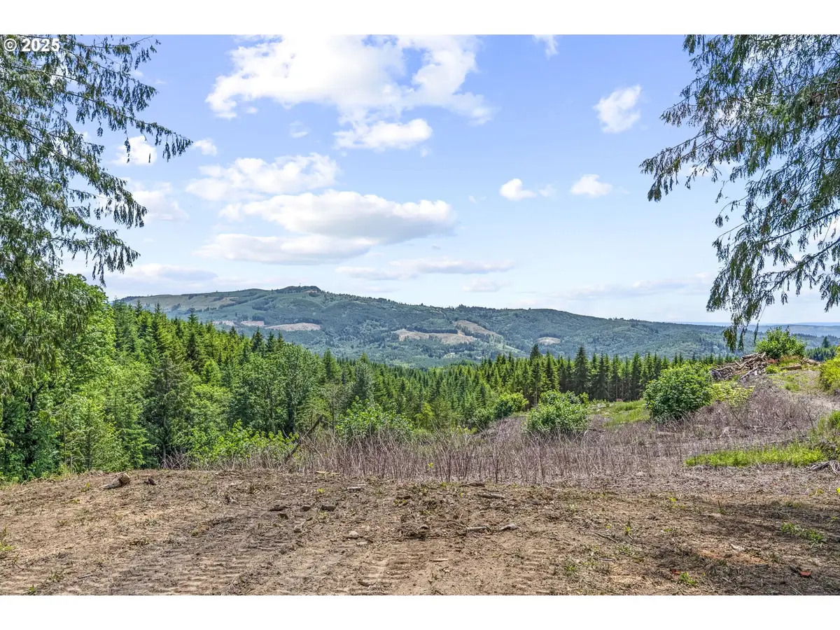 1899 Mount Pleasant Rd, Kelso, WA 98626 - #1