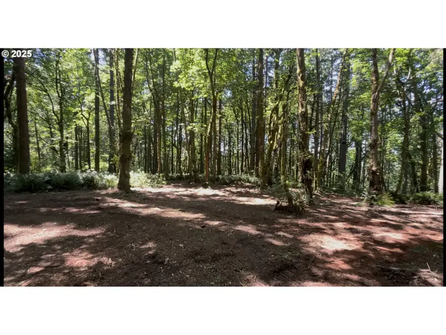 0 NE 171st Ct, Yacolt, WA 98675 - Image #3