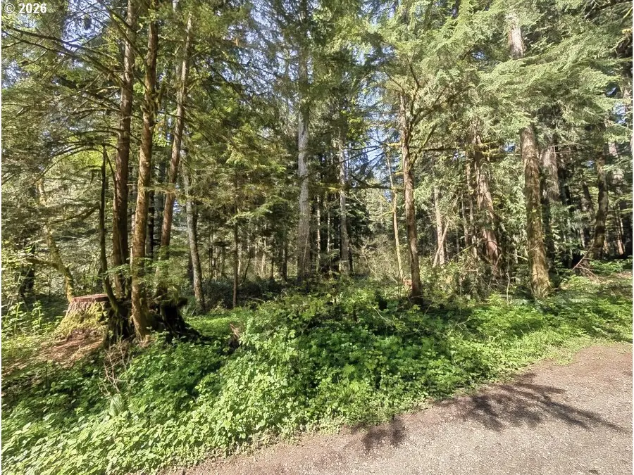 62955 E Mountain Country Ln, Brightwood, OR 97011 - Image #3