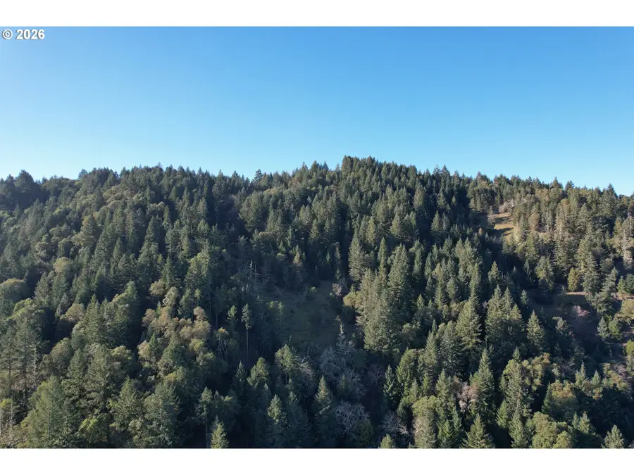 0 Spring Brook Rd, Myrtle Creek Riddle, OR 97457 - Image #3