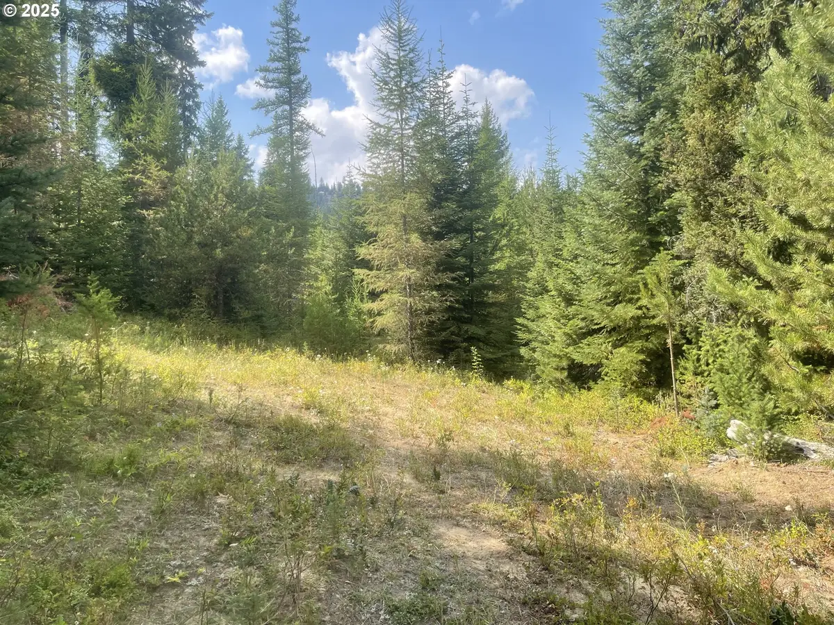 Mountain Property, Heppner, OR 97836 - Image #1