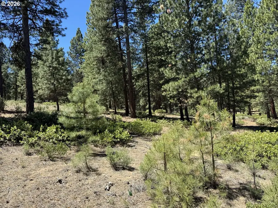 Incline Dr #22, Chiloquin, OR 97624 - #3