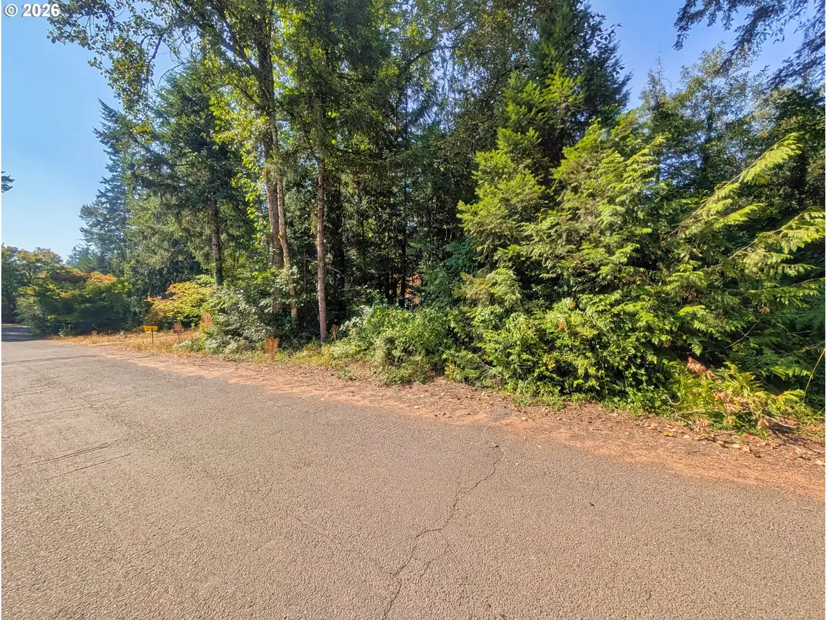 65535 E Sandy River Ln, Rhododendron, OR 97049 - #1