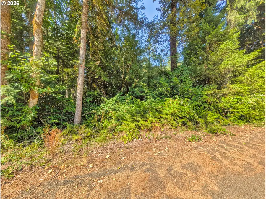 65535 E Sandy River Ln, Rhododendron, OR 97049 - #2