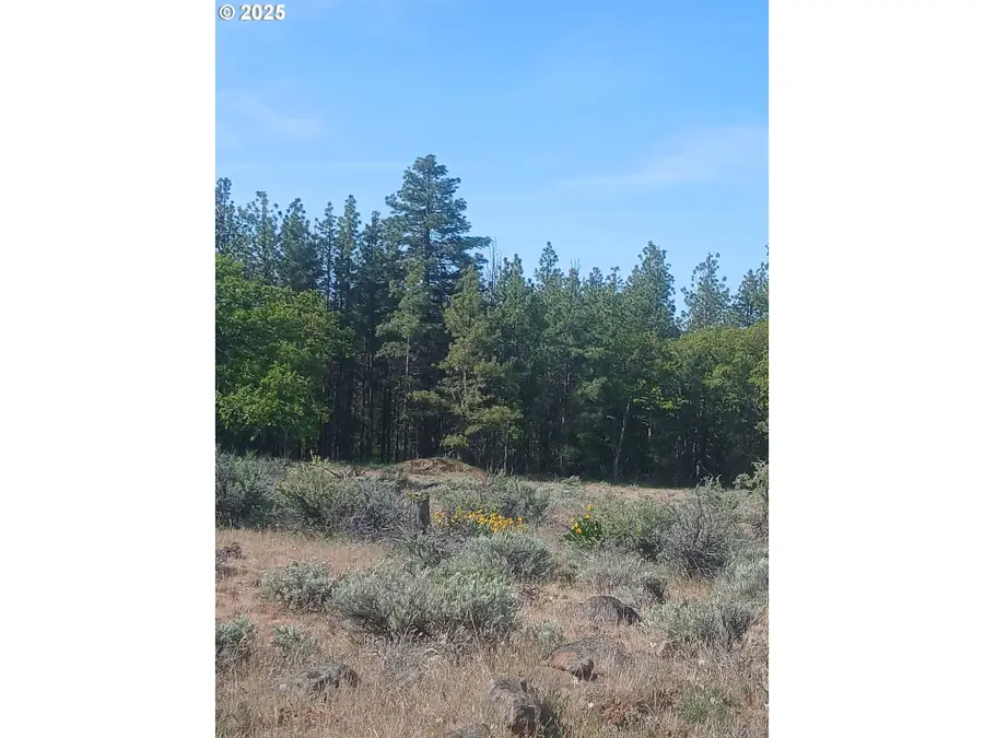 Cougar Rd, Bickleton, WA 99322 - Image #3