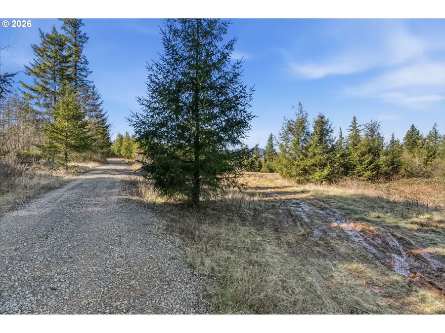 22310 NE Dole Valley Rd, Yacolt, WA 98675 - #2