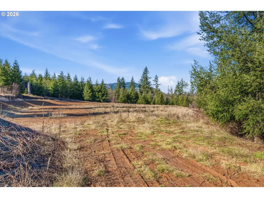 22310 NE Dole Valley Rd, Yacolt, WA 98675 - #3