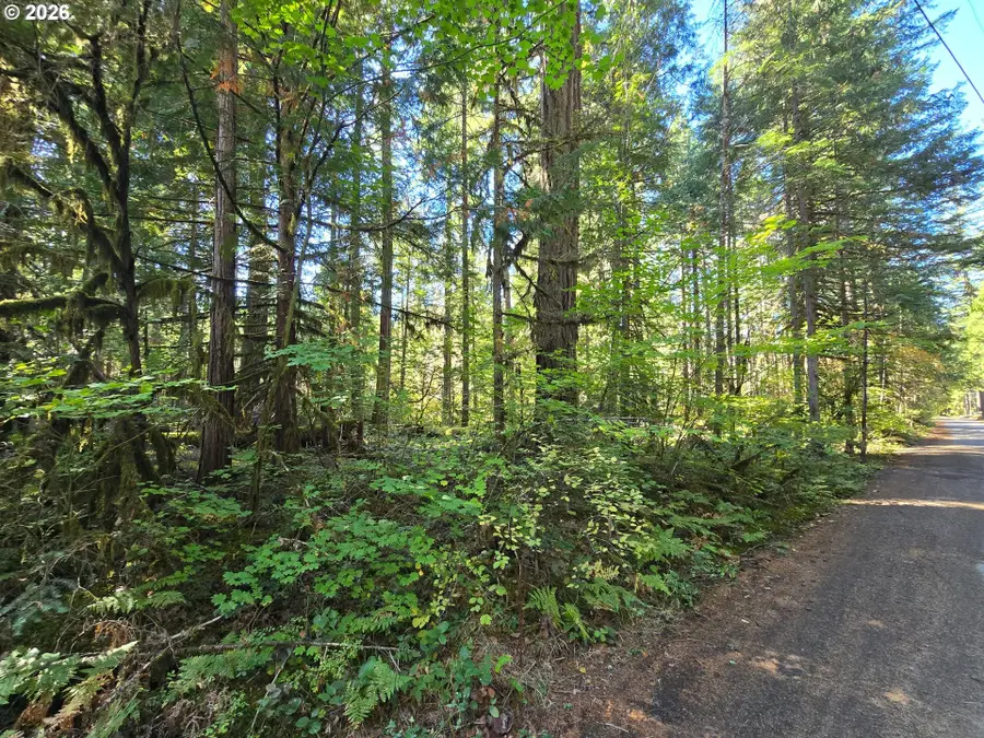1655144006700, McKenzie River, OR 97413 - #3