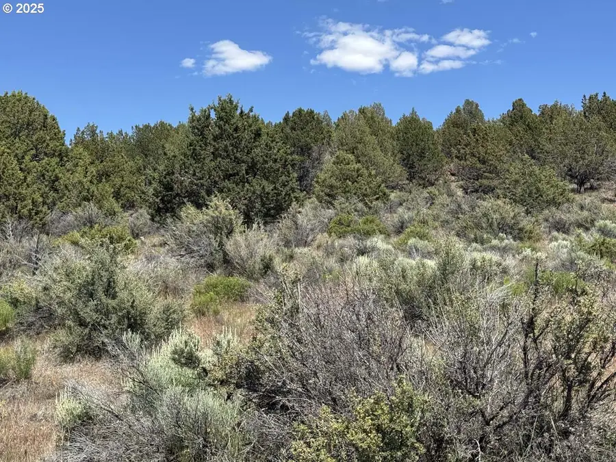 Medicine Mountain Dr #1, Beatty, OR 97621 - Image #3