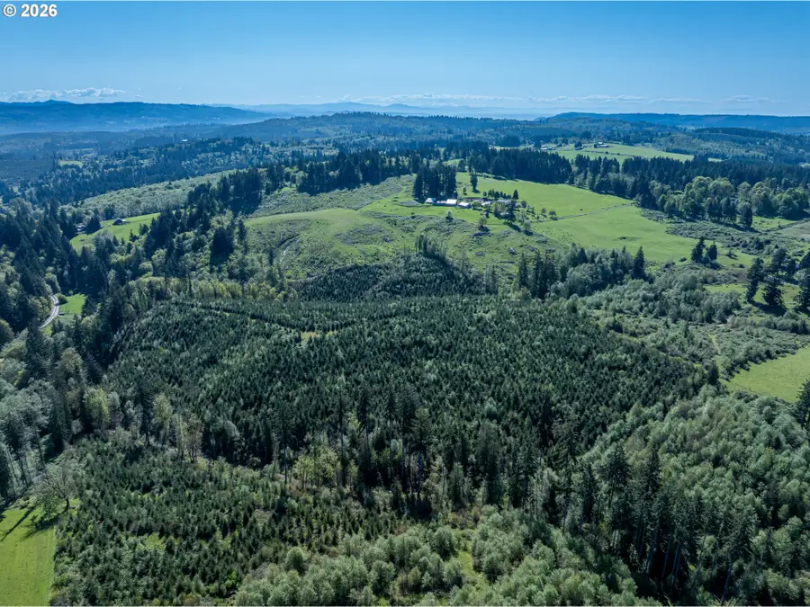 0 Whitney Rd, Rainier, OR 97048 - #3