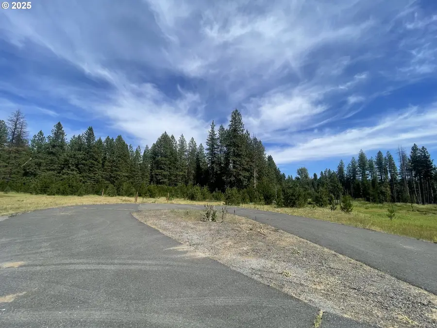 E Adams View Dr #6, Glenwood, WA 98619 - Image #2