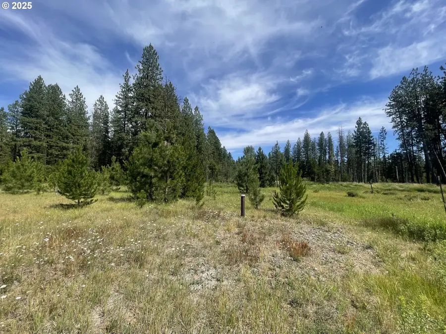 E Adams View Dr #6, Glenwood, WA 98619 - Image #3