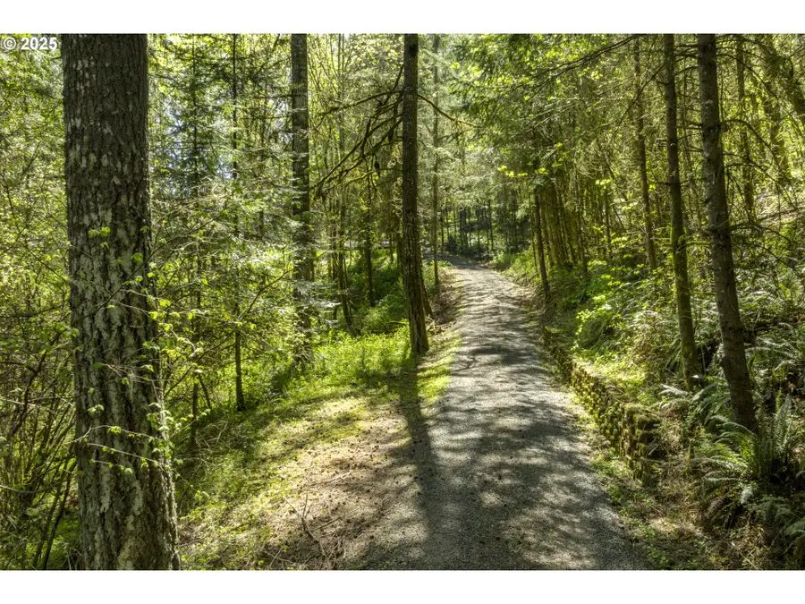 15051 NW Crane Ln, Yamhill, OR 97148 - #3