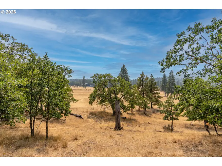 62 Meacham Rd, Goldendale, WA 98620 - #3