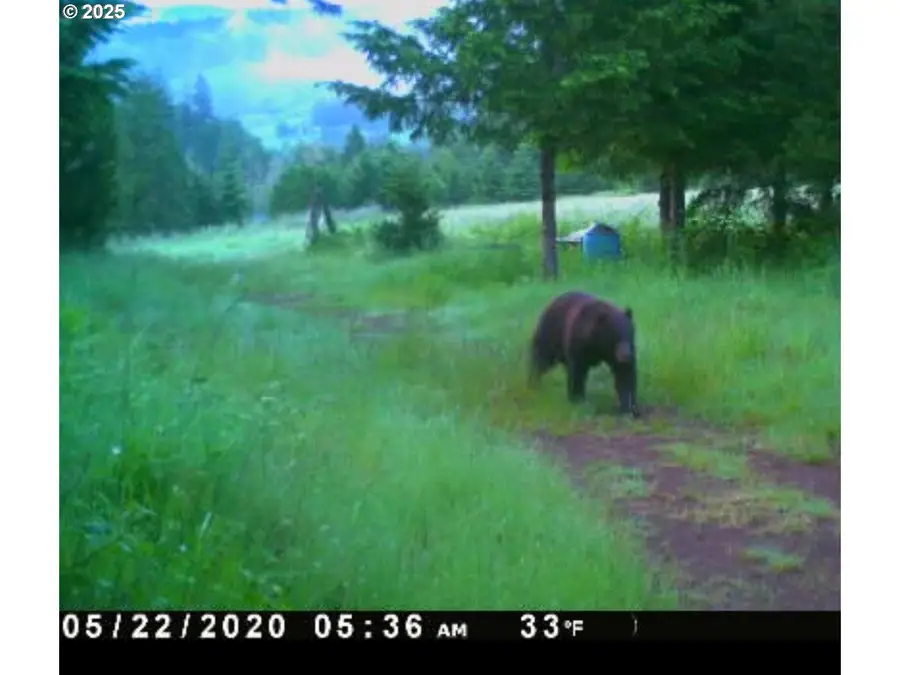 Kenady Ln Lot 401, Cottage Grove, OR 97424 - Image #2