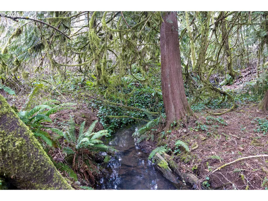 Kenady Ln Lot 401, Cottage Grove, OR 97424 - Image #3