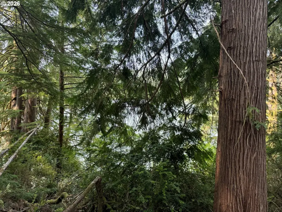 1 Hilltop Dr #601, Lakeside, OR 97449 - #2