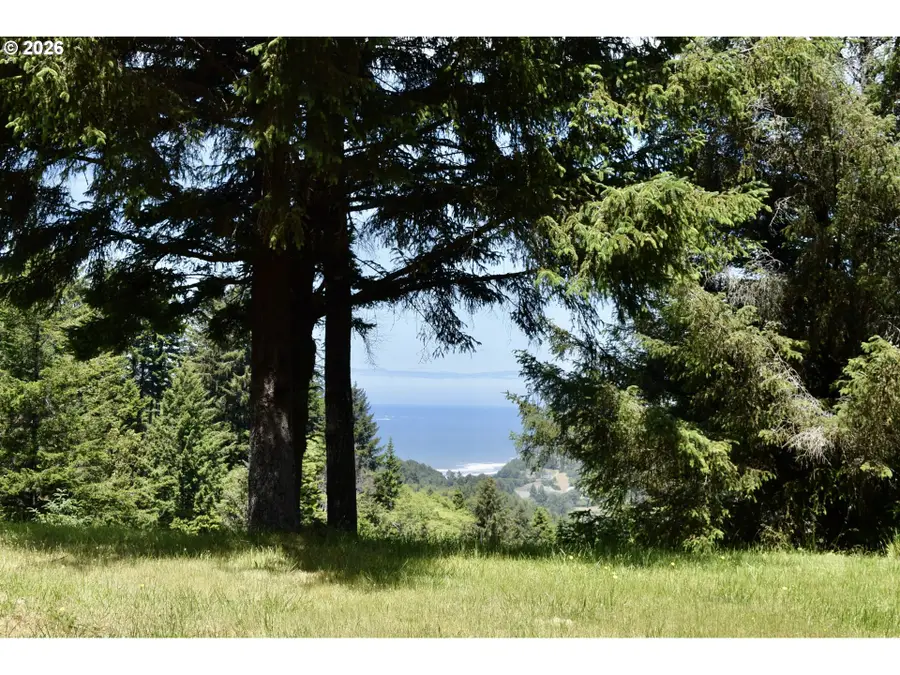 27961 Thimbleberry Rd, Gold Beach, OR 97444 - #2