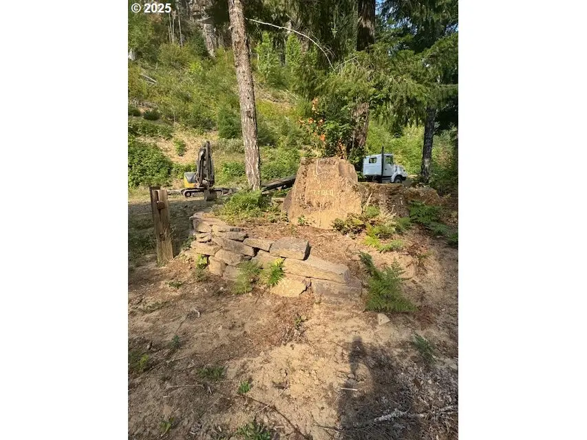1281 Szydlo Rd, Carson, WA 98610 - #3