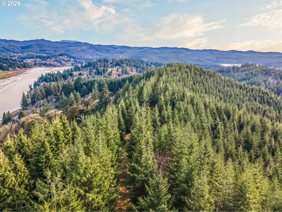 Criteser Loop, Toledo, OR 97391 - #3