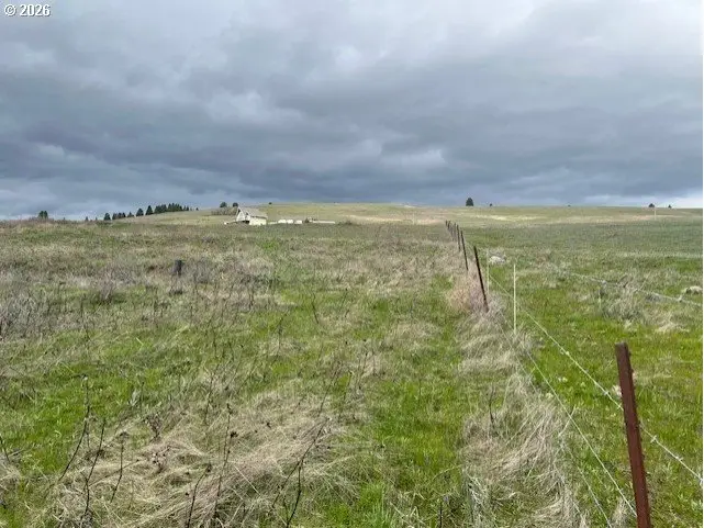 10 Buttercup Ln, Lyle, WA 98635 - #3