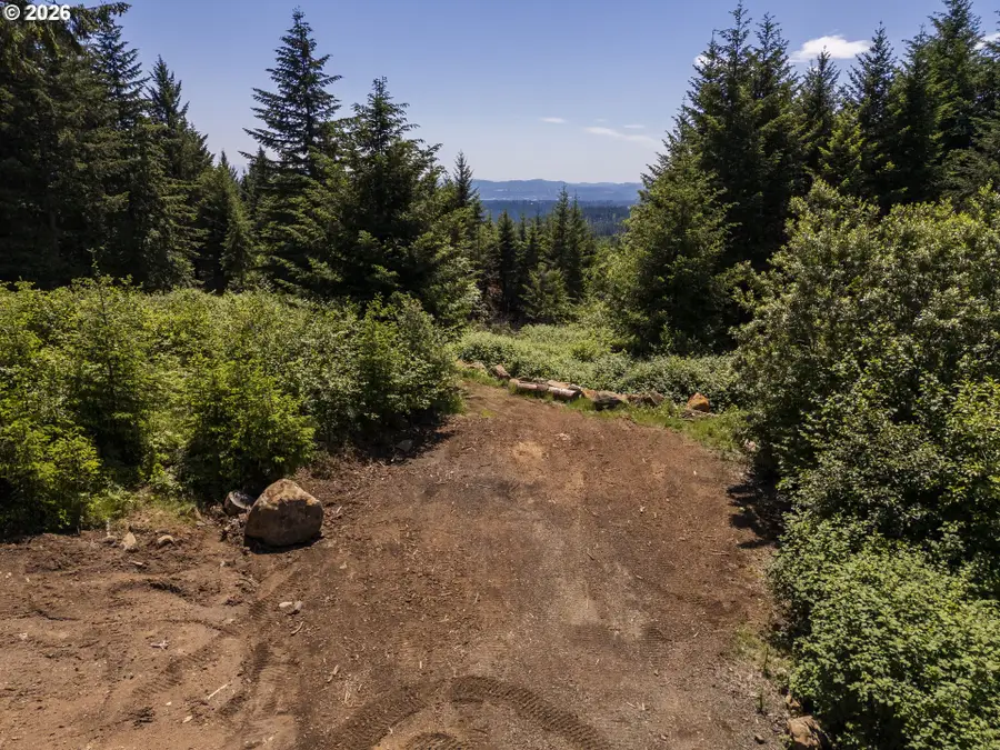 000 NE 292nd Ct, Camas, WA 98607 - #2