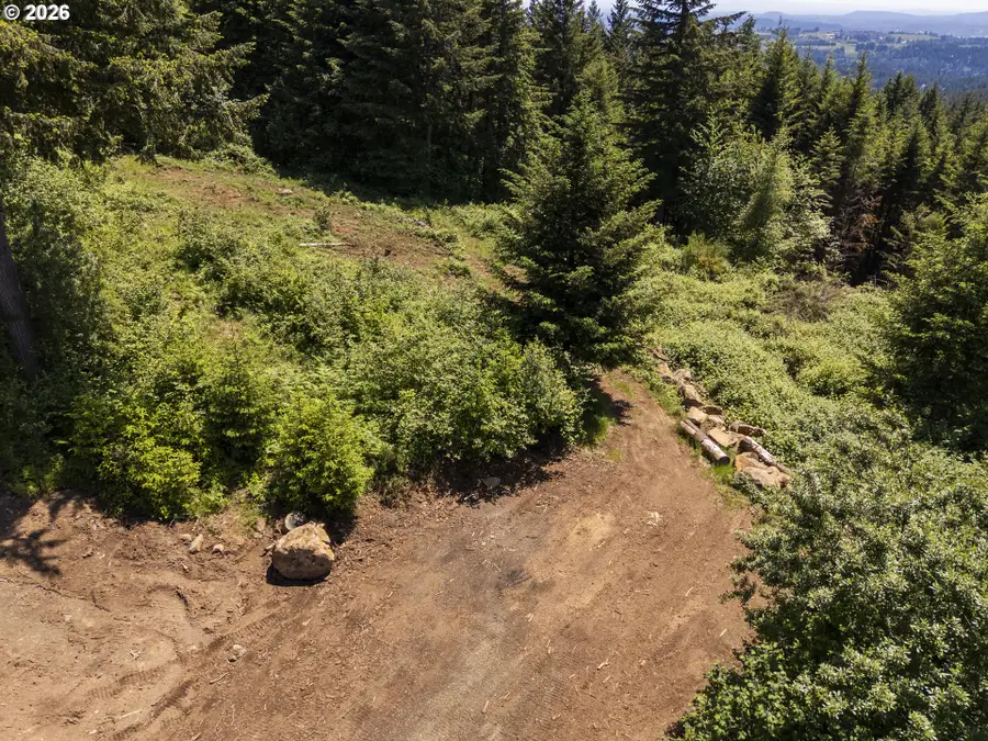 000 NE 292nd Ct, Camas, WA 98607 - #3