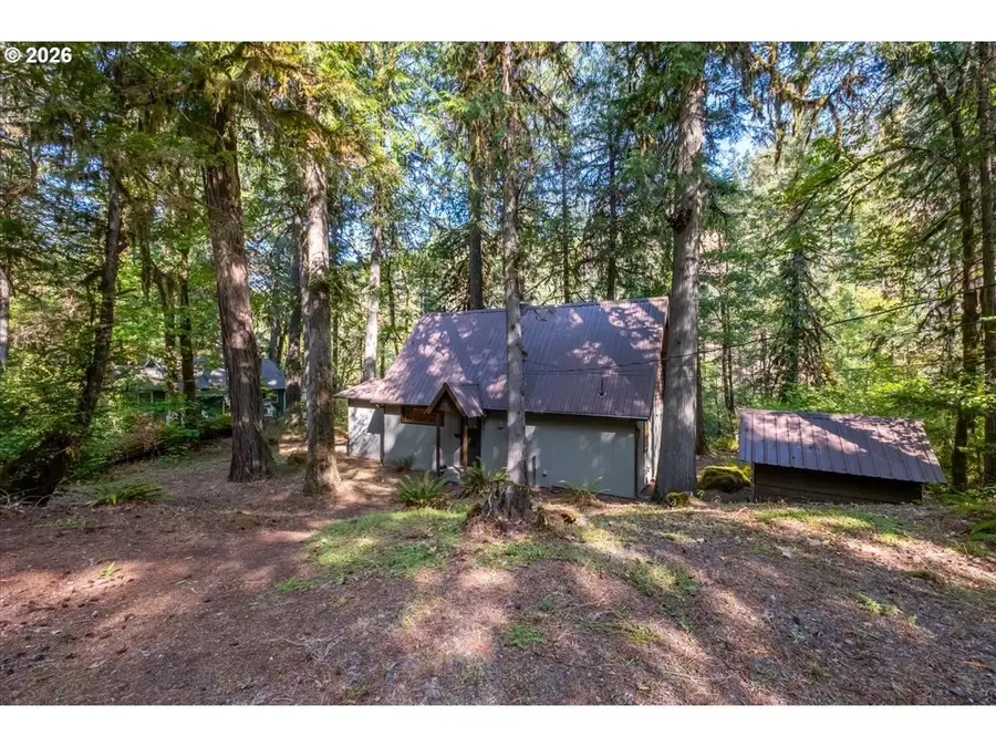 49053 Salt Creek Rd, Oakridge, OR 97463 - #2
