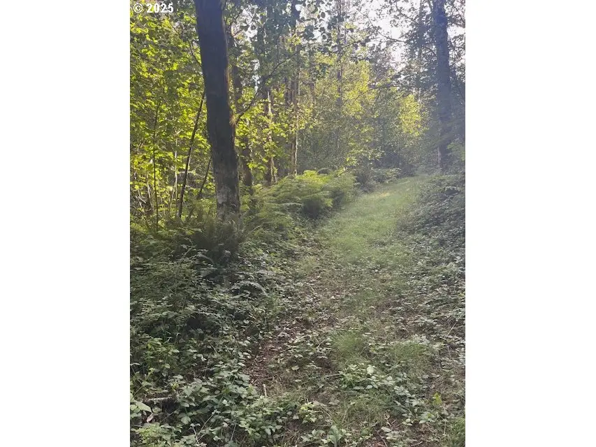 0 Matthews Rd, Washougal, WA 98671 - Image #1