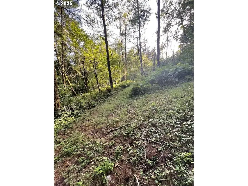 0 Matthews Rd, Washougal, WA 98671 - Image #2