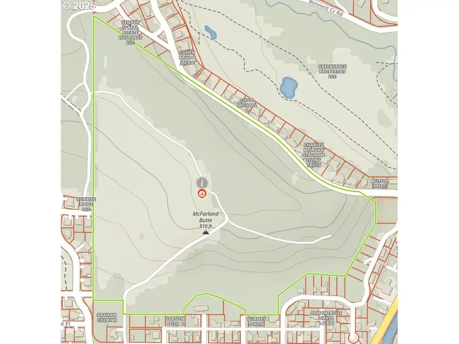 Mt David, Cottage Grove, OR 97424 - Image #3