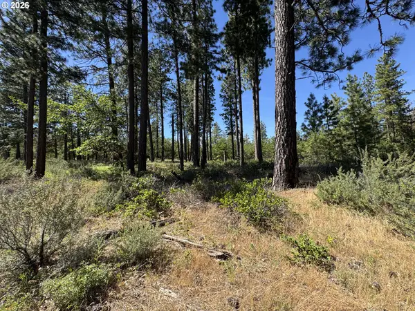 112 Timber Rd, Bickleton, WA 99322