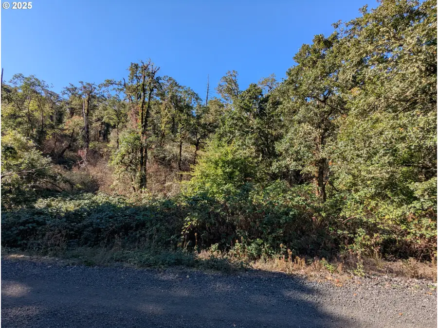 728 Cemetery Rd, Drain, OR 97435 - Image #3