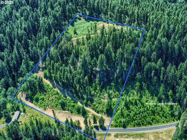 1281 Szydlo Rd, Carson, WA 98610