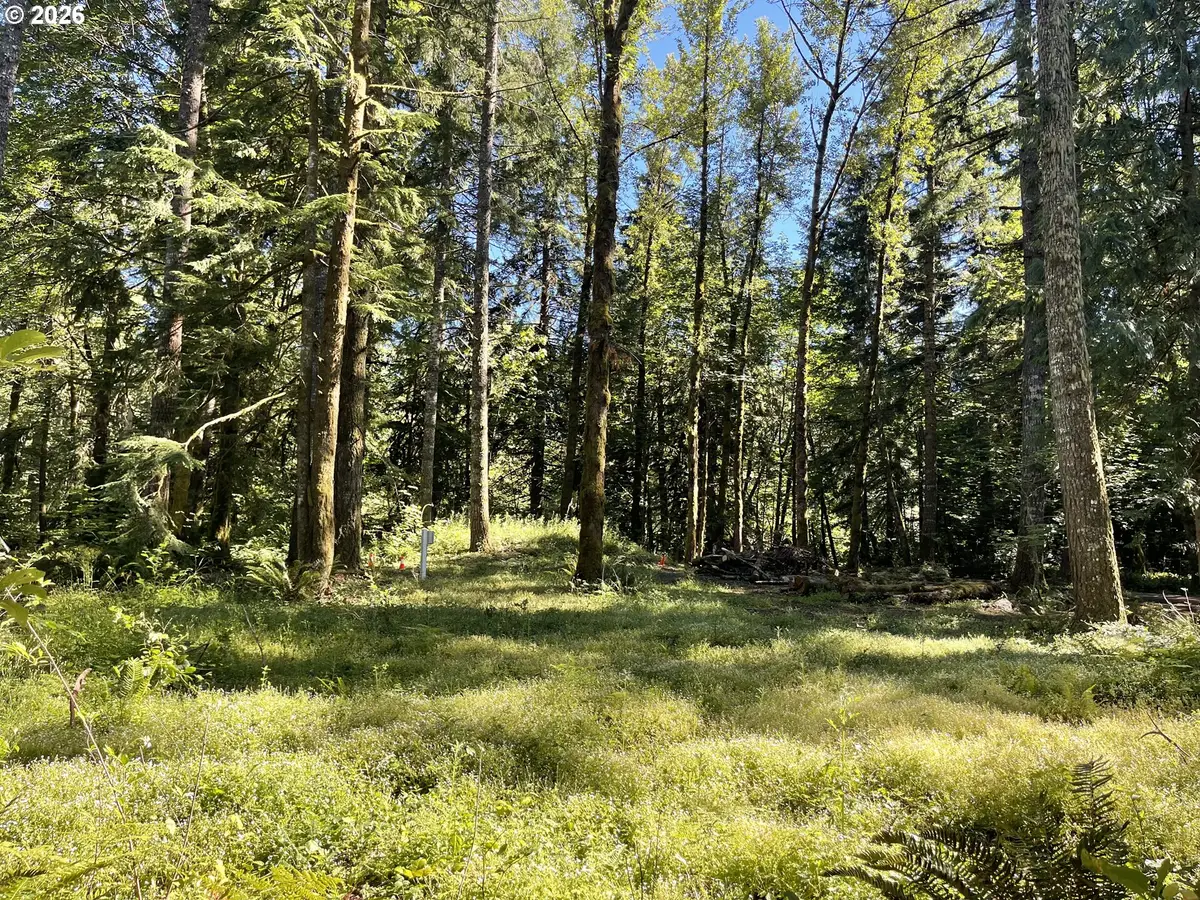 23282 E Sandy Ave, Rhododendron, OR 97049 - #1
