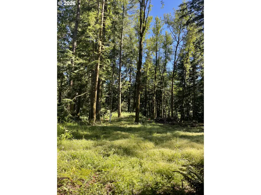 23282 E Sandy Ave, Rhododendron, OR 97049 - #2