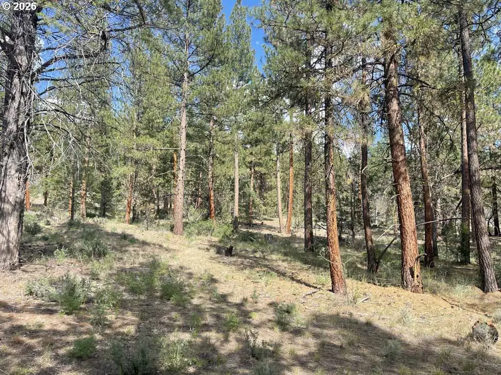 Tableland Rd #500, Chiloquin, OR 97624 - Image #1