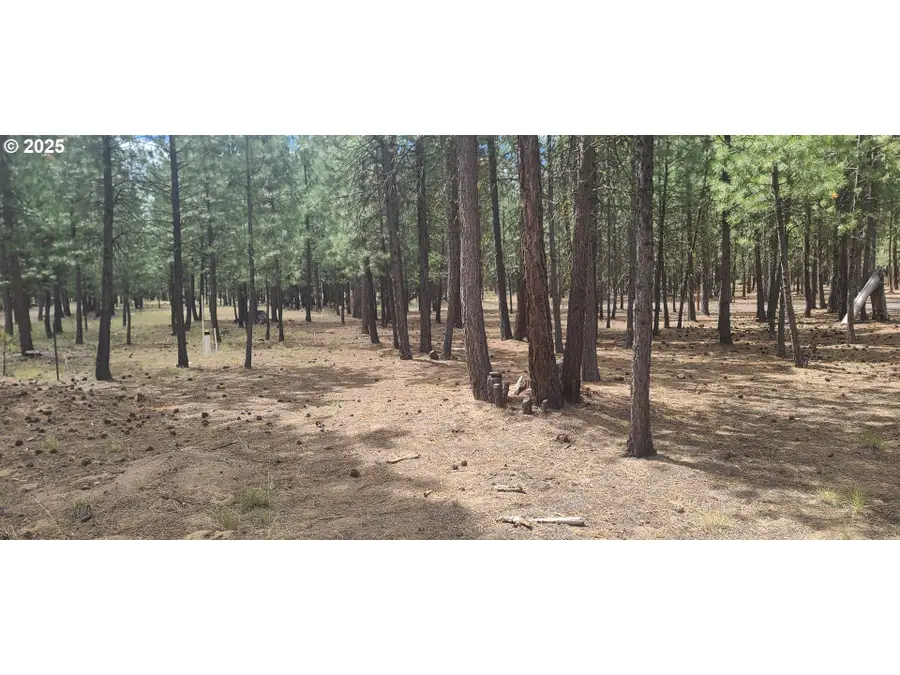 52328 Elderberry Ct, Sisters Millican, OR 97739 - Image #3