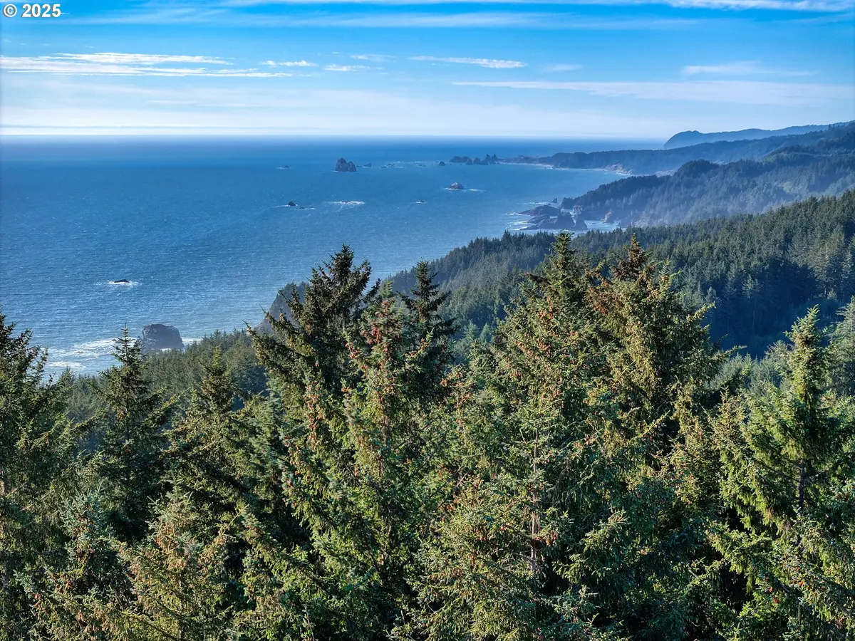 0 W Huckleberry Ridge Rd #300, Brookings, OR 97415 - Image #1