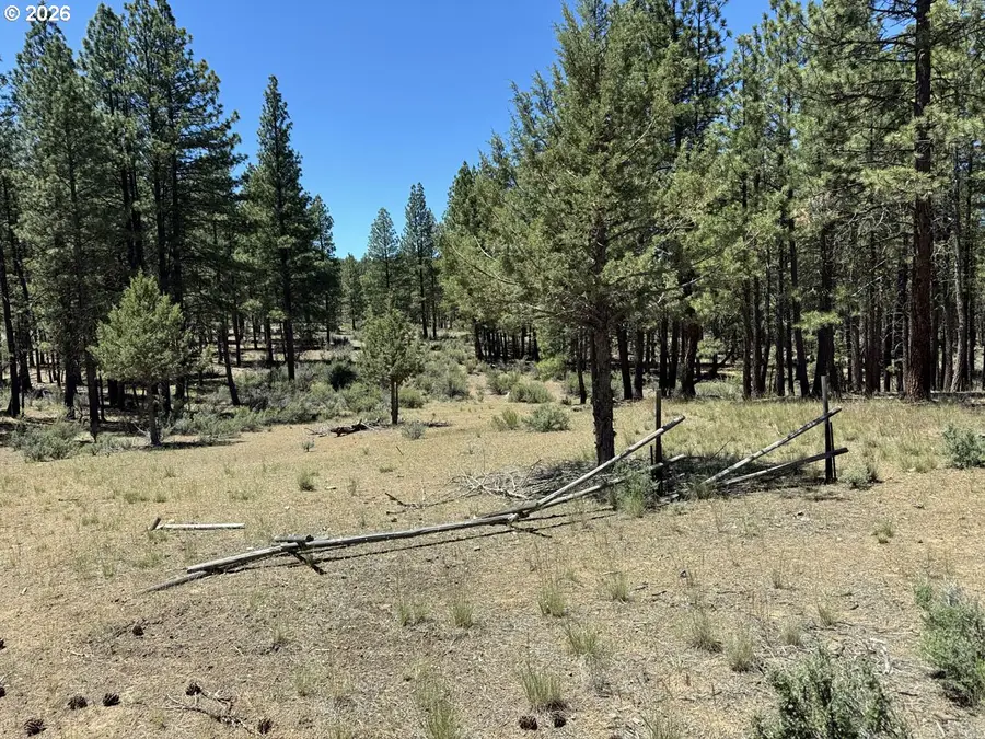 15651 Marcee Way, Chiloquin, OR 97624 - #3