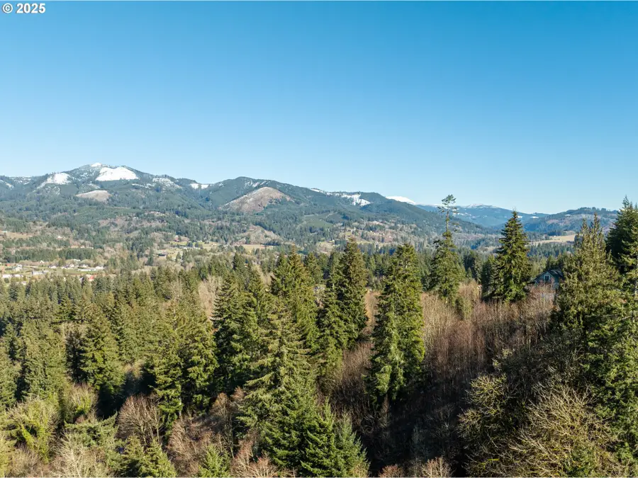 NE Cedar Creek Rd, Woodland, WA 98674 - Image #2