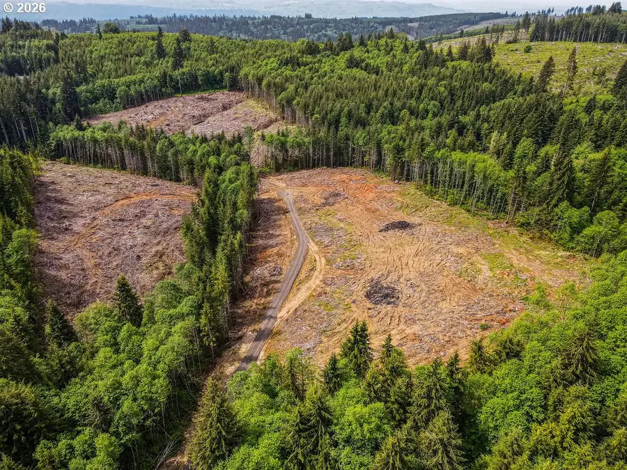 1319 Eufaula Heights Rd, Longview, WA 98632 - #3