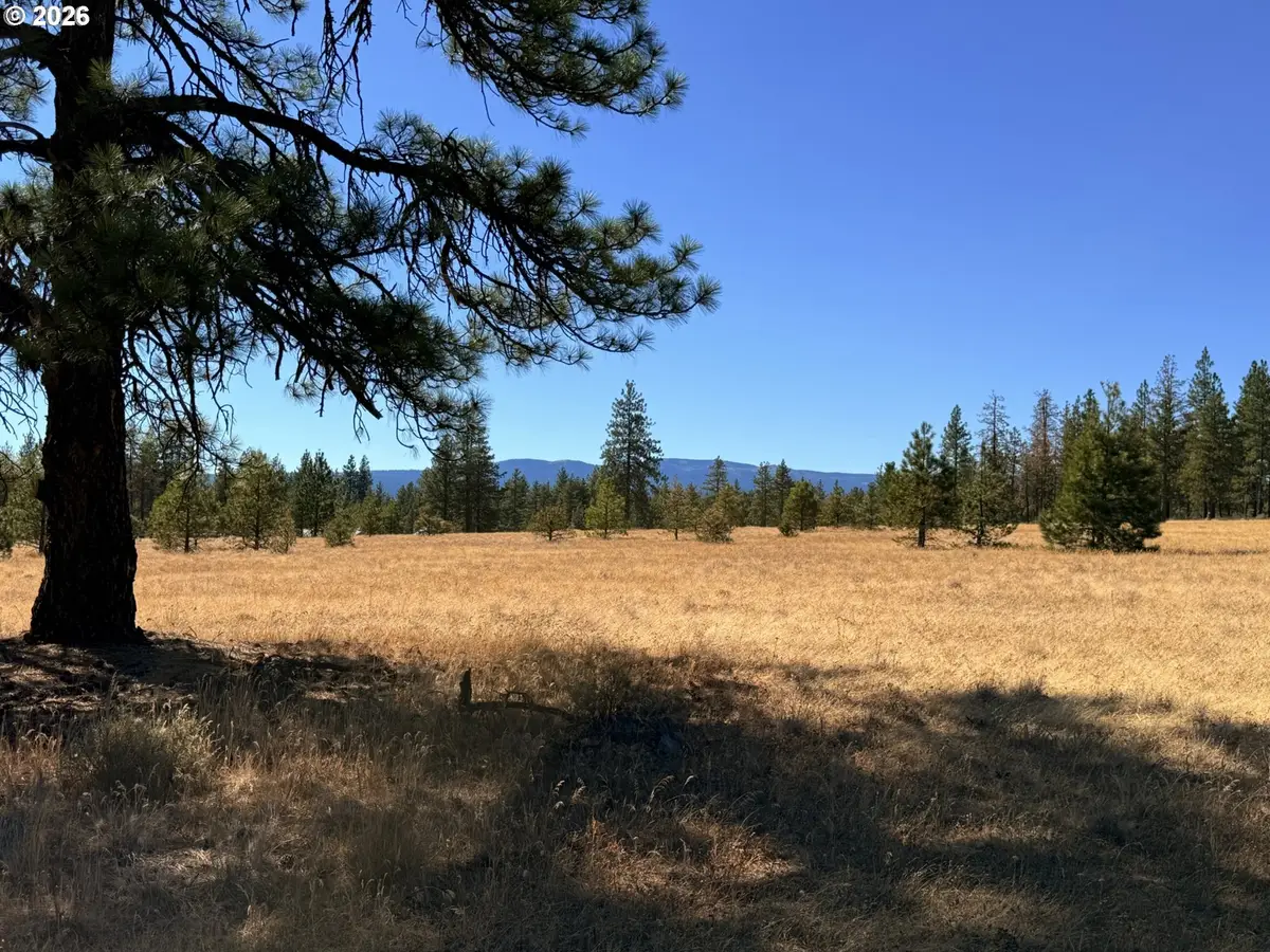 Box Canyon Buckhorn #1, Goldendale, WA 98620 - #1
