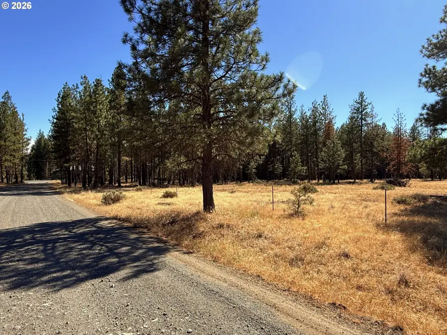 Box Canyon Buckhorn #1, Goldendale, WA 98620 - #3